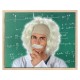 Parrucca scienziato pazzo capelli bianchi lunghi