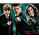 Cialda torta Harry Potter ostia o zucchero