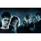 Cialda tortaHarry Potter  ostia o zucchero