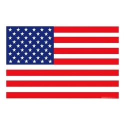 Bandiera Americana cm 90x150 usa America Stati uniti in tessuto