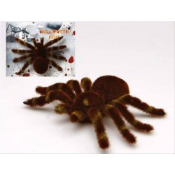 RAGNO TARANTOLA TROPICALE PELOSO CM 15x10